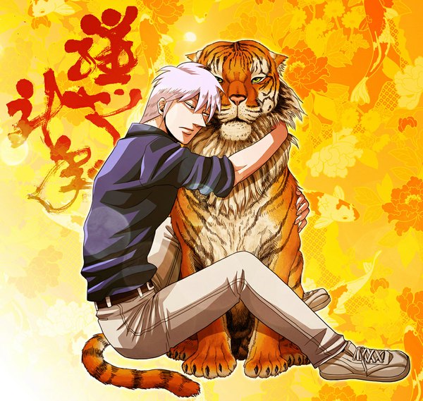 Anime picture 1024x972 with akagi madhouse akagi shigeru sanada (artist) short hair white hair hug yellow background animal shirt belt pants tiger