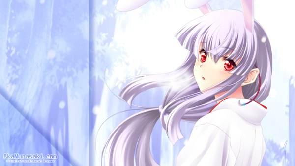 Anime picture 1920x1080 with aizawa kotarou single long hair highres red eyes wide image purple hair looking back bunny ears girl