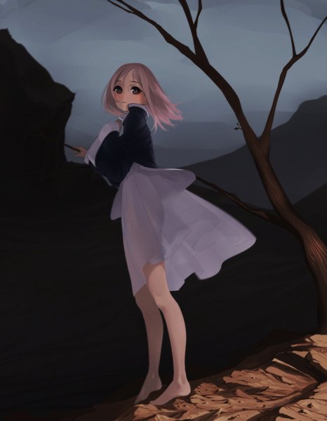 Anime picture 1550x1992 with original revolmxd single long hair tall image looking at viewer blush standing brown eyes pink hair barefoot bare legs bare tree girl dress plant (plants) tree (trees) transparent clothing cliff