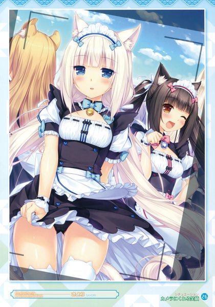 Anime picture 2384x3405 with neko paradise neko works (studio) vanilla (nekopara) chocola (nekopara) maple (sayori) sayori long hair tall image blush highres open mouth blue eyes light erotic black hair blonde hair twintails multiple girls brown eyes animal ears white hair