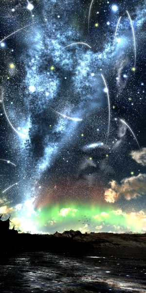 Anime picture 1500x3000 with original y-k tall image sky cloud (clouds) night sky glowing landscape lake meteor rain aurora borealis plant (plants) animal tree (trees) water bird (birds) star (stars)