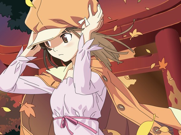 Anime picture 3200x2400 with bakemonogatari shaft (studio) monogatari (series) sengoku nadeko highres vector