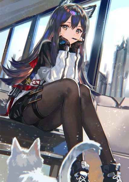 Anime picture 855x1200 with arknights texas (arknights) ranou single long hair tall image looking at viewer blush fringe black hair hair between eyes sitting holding brown eyes animal ears payot indoors mouth hold wolf ears chin rest