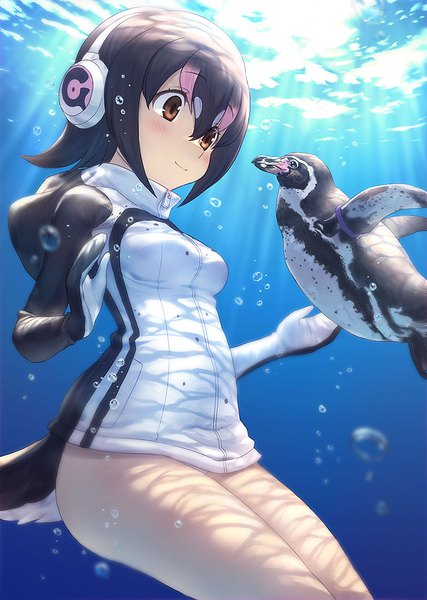 Anime picture 800x1125 with kemono friends humboldt penguin (kemono friends) grape-kun guchico single tall image blush fringe short hair light erotic black hair smile hair between eyes multicolored hair underwater eye contact girl animal bird (birds) bubble (bubbles)