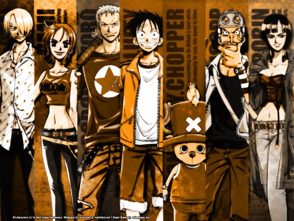Anime picture 1600x1200 with one piece toei animation nami (one piece) monkey d. luffy nico robin roronoa zoro sanji tony tony chopper usopp tagme (artist) long hair looking at viewer fringe short hair breasts black hair blonde hair smile standing multiple girls
