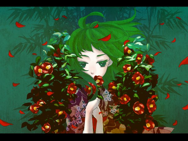 Anime picture 1600x1200 with vocaloid gumi 72 (nananatsu) single short hair green eyes ahoge green hair wind girl flower (flowers) plant (plants) petals camellia (flower)