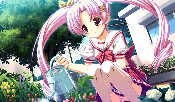 Anime picture 1536x900 with cure mate club (game) light erotic wide image pink hair game cg pantyshot sitting girl serafuku