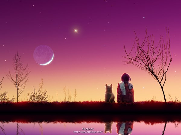 Anime picture 1024x768 with original kagaya single highres short hair sitting pink hair sky from behind evening sunset autumn girl plant (plants) animal tree (trees) scarf moon star (stars) dog