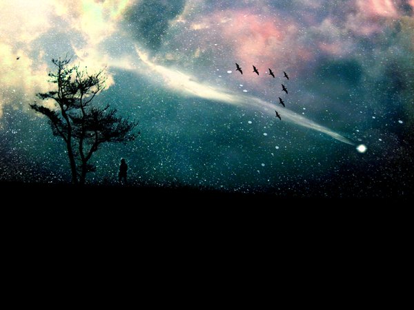 Anime picture 1500x1125 with original simainu single cloud (clouds) night sky silhouette shooting star plant (plants) animal tree (trees) bird (birds) star (stars)
