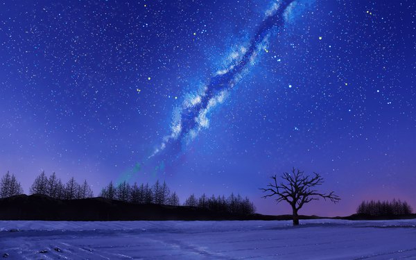 Anime picture 1680x1050 with original solafin night wallpaper night sky winter snow no people landscape scenic bare tree milky way plant (plants) tree (trees) star (stars)