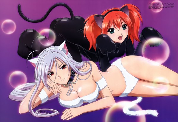 Anime picture 5921x4085 with rosario+vampire akashiya moka inner moka shuzen kokoa highres light erotic animal ears scan cat girl vampire girl