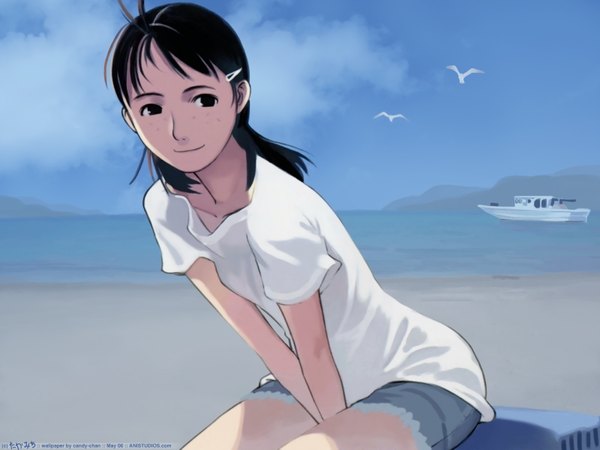 Anime picture 1600x1200 with black hair brown eyes soft beauty hair ornament water hairclip sea watercraft ship seagull
