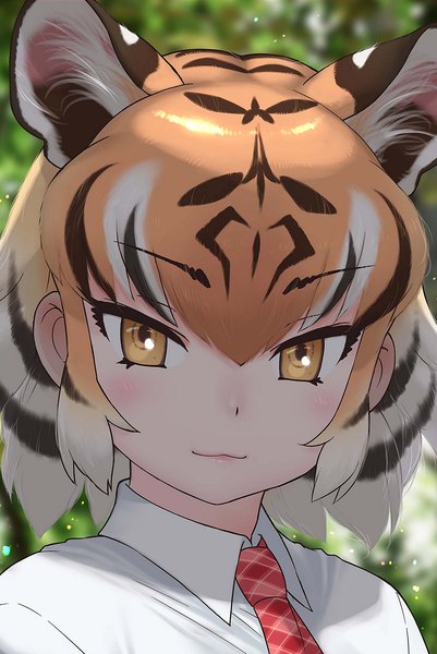 Anime picture 1508x2256 with kemono friends tiger (kemono friends) yoshizaki mine single tall image looking at viewer blush animal ears upper body multicolored hair blurry orange eyes depth of field portrait striped tiger ears tiger girl girl shirt necktie