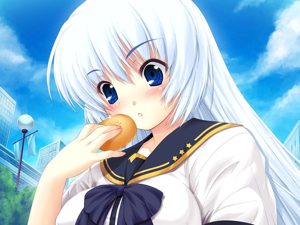 Anime picture 1024x768 with elle prier (game) rafale nana long hair blush blue eyes game cg white hair serafuku
