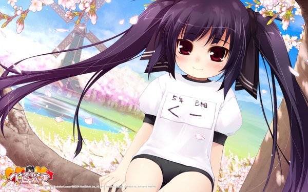 Anime picture 1920x1200 with pangya kooh single highres light erotic red eyes wide image twintails purple hair cherry blossoms lolicon girl uniform gym uniform child (children) buruma