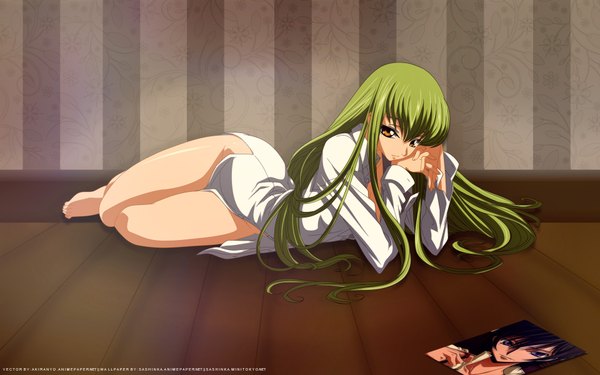 Anime picture 1920x1200 with code geass sunrise (studio) c.c. lelouch lamperouge single highres light erotic wide image signed vector girl