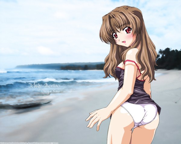 Anime picture 1280x1024 with onegai teacher onegai twins morino ichigo long hair looking at viewer blush light erotic from behind beach girl underwear panties tank top wave (waves)