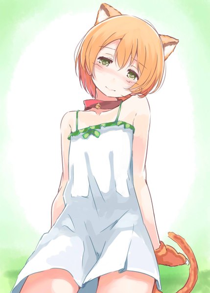 Anime picture 888x1242 with love live! school idol project sunrise (studio) love live! hoshizora rin asterism single tall image looking at viewer blush short hair green eyes animal ears tail head tilt animal tail cat ears orange hair cat tail girl dress