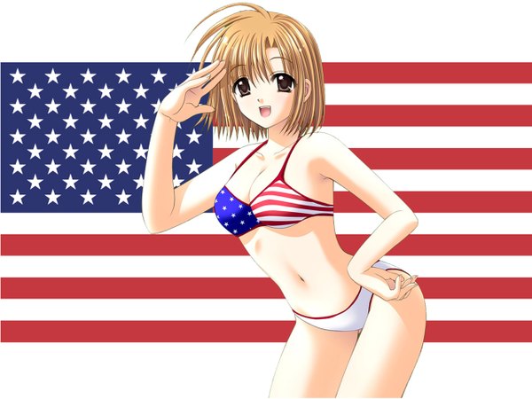 イラスト 1280x960 と nishimata aoi ソロ light erotic 敬礼 flag print 女の子 水着 ビキニ (水着) 旗 american flag american flag bikini