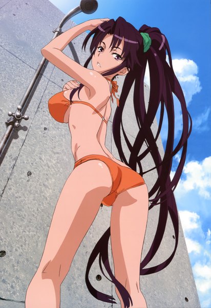 Anime picture 4096x5965 with to aru majutsu no index j.c. staff nyantype kanzaki kaori tanaka yuuichi single long hair tall image highres breasts light erotic large breasts purple eyes absurdres purple hair ass ponytail from behind official art girl
