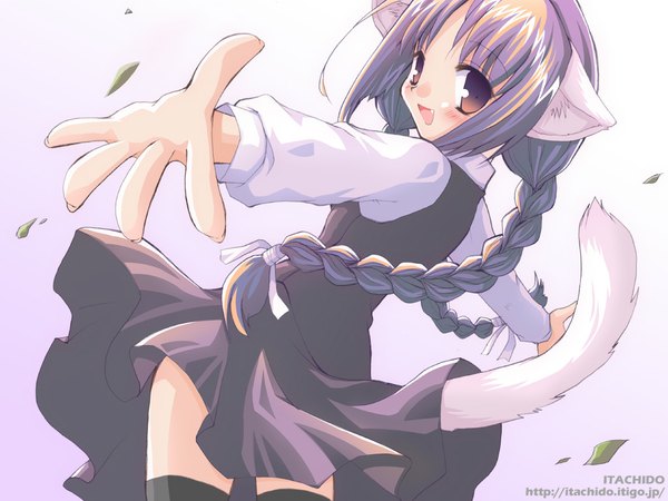 Anime picture 1024x768 with itachimaki single long hair looking at viewer blush open mouth simple background white background brown eyes signed animal ears purple hair tail braid (braids) cat ears cat girl cat tail wallpaper twin braids spread arms