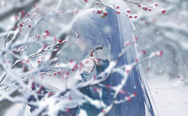 Anime picture 4500x2781 with honkai impact 3rd honkai (series) fu hua rafaelaaa single long hair highres blue eyes wide image absurdres silver hair upper body outdoors ponytail profile snowing winter snow plum blossoms girl