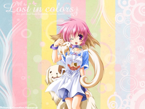 Anime picture 1600x1200 with platinum wind percy moekibara fumitake blush short hair open mouth purple eyes animal ears pink hair one eye closed wink inscription wallpaper girl animal apron collar dog