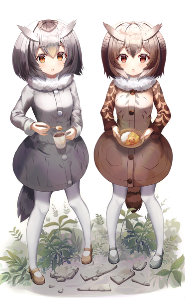 Anime-Bild 3220x5200 mit kemono friends northern white-faced owl (kemono friends) eurasian eagle owl (kemono friends) bitseon tall image looking at viewer fringe highres short hair hair between eyes red eyes brown hair standing multiple girls absurdres full body from above grey hair :o girl