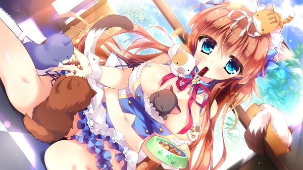 Anime picture 2048x1152 with wan nyan a la mode! nekojou hinana wori single long hair looking at viewer blush fringe highres breasts light erotic brown hair wide image large breasts sitting animal ears game cg sky cloud (clouds) tail