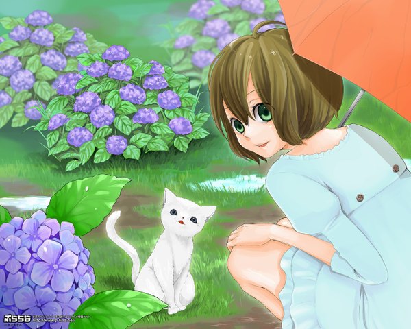 Anime picture 1280x1024 with original aoyaman single looking at viewer fringe short hair open mouth smile hair between eyes brown hair sitting green eyes signed girl dress flower (flowers) plant (plants) leaf (leaves) umbrella cat
