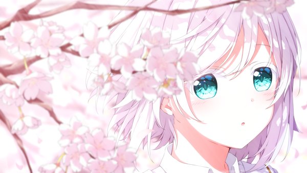 Anime picture 1920x1080 with original aoi thomas single highres short hair wide image upper body white hair aqua eyes :o cherry blossoms girl flower (flowers)