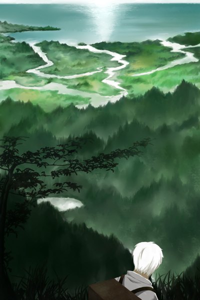 Anime picture 1200x1800 with mushishi ginko tall image short hair white hair from behind landscape river boy tree (trees) sea forest box