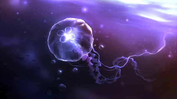 Anime picture 2560x1440 with original apofiss highres wide image underwater purple background transparent sea bubble (bubbles) jellyfish