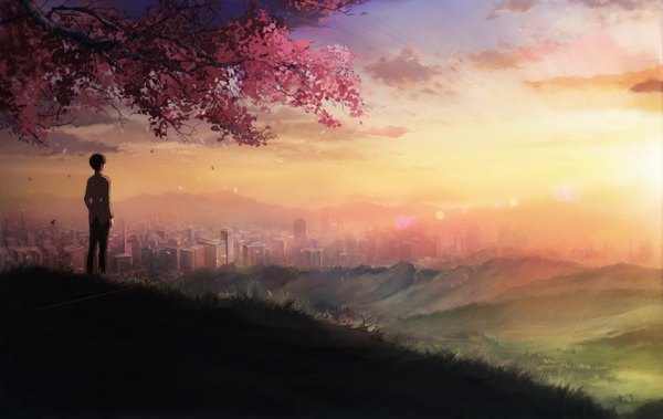 イラスト 1327x839 と 雲のむこう、約束の場所 shinkai makoto ソロ 空 cloud (clouds) from behind 桜 city evening sunset landscape scenic 男性 花 植物 木 草
