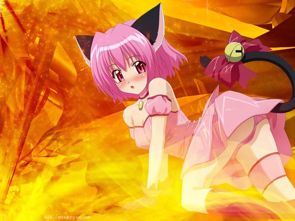 Anime picture 1600x1200 with tokyo mew mew studio pierrot momomiya ichigo cat girl girl