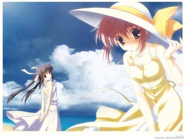 Anime picture 1600x1200 with nanao naru black hair twintails sky beach dress hat