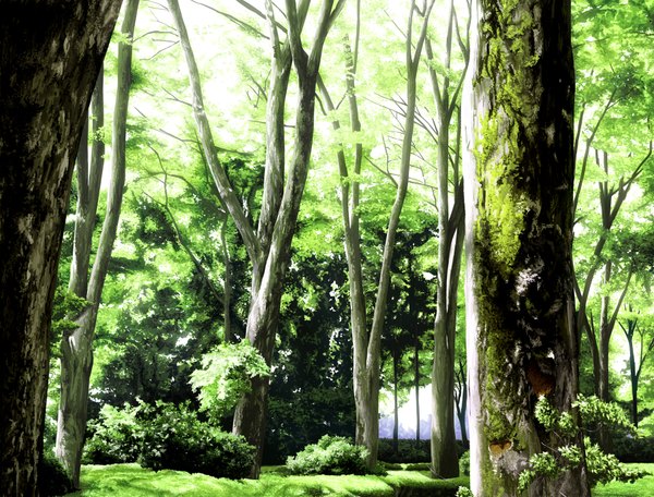 Anime picture 1812x1378 with original nakamura sumikage highres no people landscape scenic plant (plants) tree (trees) leaf (leaves) grass branch forest bushes