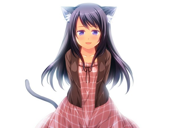 Anime picture 1600x1200 with otomimi infinity (game) long hair blue eyes black hair simple background white background animal ears game cg cat ears cat tail girl dress