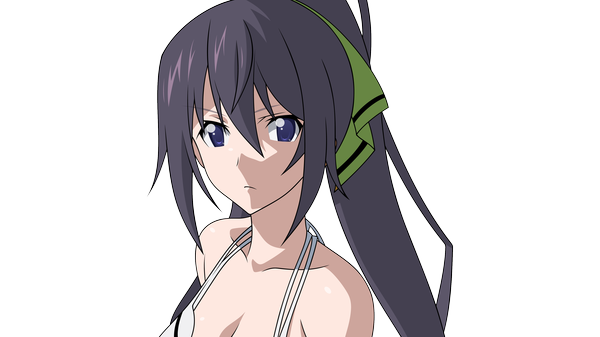 Anime picture 4000x2250 with infinite stratos 8bit shinonono houki single long hair looking at viewer highres blue eyes black hair wide image bare shoulders absurdres ponytail transparent background vector girl