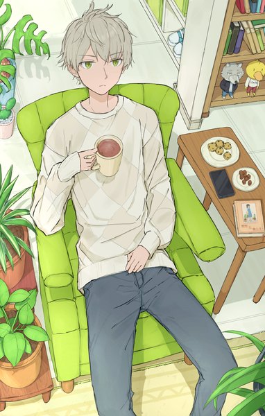 Anime picture 674x1060 with original kurei 9 0 single tall image short hair sitting holding green eyes looking away indoors from above grey hair checkered rhombus poorly drawn boy plant (plants) food shoes sweets