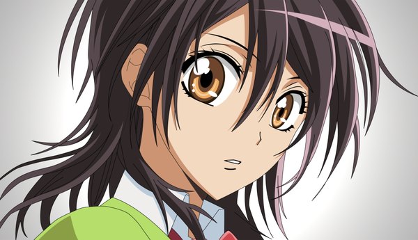 Anime picture 3800x2191 with kaichou wa maid-sama! ayuzawa misaki single highres black hair wide image brown eyes absurdres girl