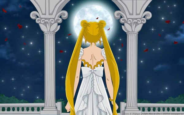 Anime picture 2560x1600 with bishoujo senshi sailor moon toei animation tsukino usagi neo queen serenity single long hair highres blonde hair wide image twintails night back girl dress petals bracelet moon star (stars)