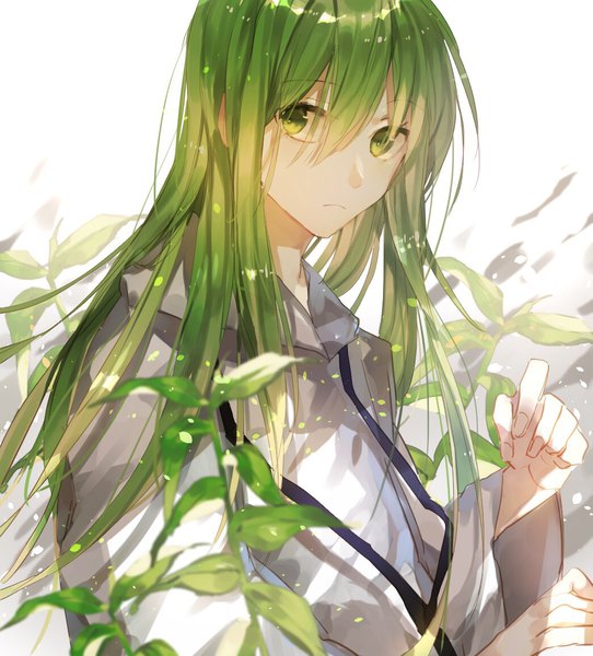 Anime picture 1045x1156 with fate (series) fate/strange fake enkidu (fate) tsugutoku single long hair tall image looking at viewer fringe hair between eyes green eyes upper body fingernails green hair expressionless androgynous boy plant (plants)