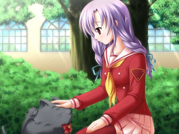 Anime picture 1024x768 with ojousama kumikyoku nishikujou koyuki long hair red eyes game cg purple hair girl serafuku cat