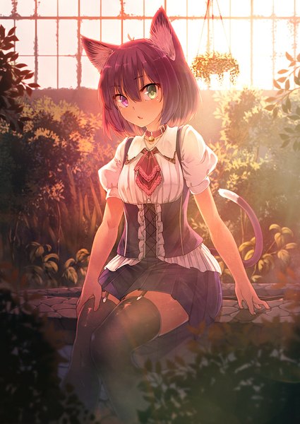 Anime picture 724x1023 with original ibuki notsu single tall image looking at viewer blush fringe short hair open mouth sitting green eyes animal ears purple hair tail animal tail pleated skirt pink eyes sunlight cat ears short sleeves