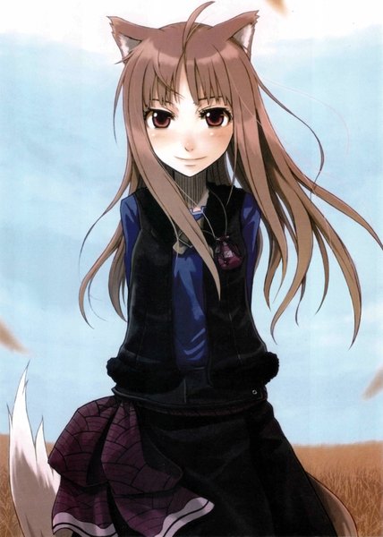 Anime picture 2672x3742 with spice and wolf horo ayakura juu long hair tall image blush highres smile brown hair brown eyes animal ears sky tail wind field girl vest