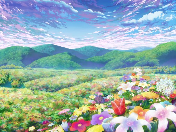 Anime picture 1280x960 with touhou aoha (twintail) sky cloud (clouds) mountain no people landscape scenic flower (flowers)