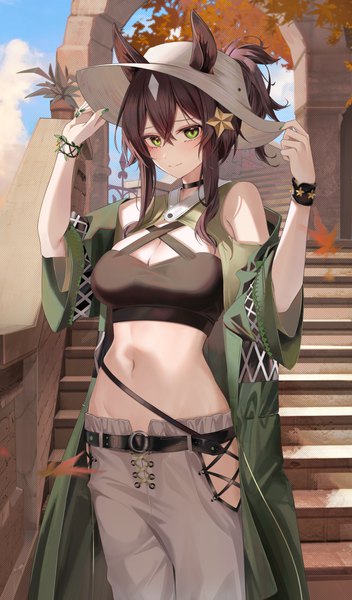 Anime picture 3523x6008 with arknights meteor (arknights) meteor (bard's holiday) (arknights) ru zhai single long hair tall image looking at viewer blush fringe highres breasts hair between eyes brown hair large breasts standing green eyes animal ears absurdres sky