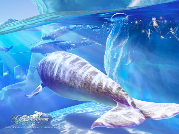 Anime picture 1600x1200 with kagaya underwater ruins 3d animal water narwhal