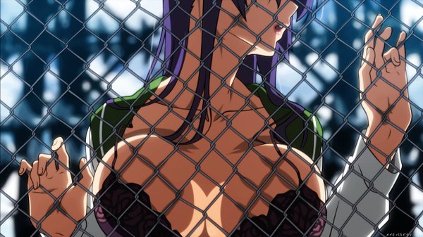 Anime picture 2560x1440 with highschool of the dead madhouse busujima saeko long hair highres breasts open mouth light erotic wide image large breasts purple hair lips girl uniform underwear school uniform fence